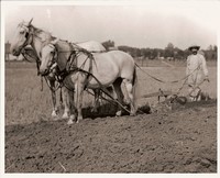 Plowing Field